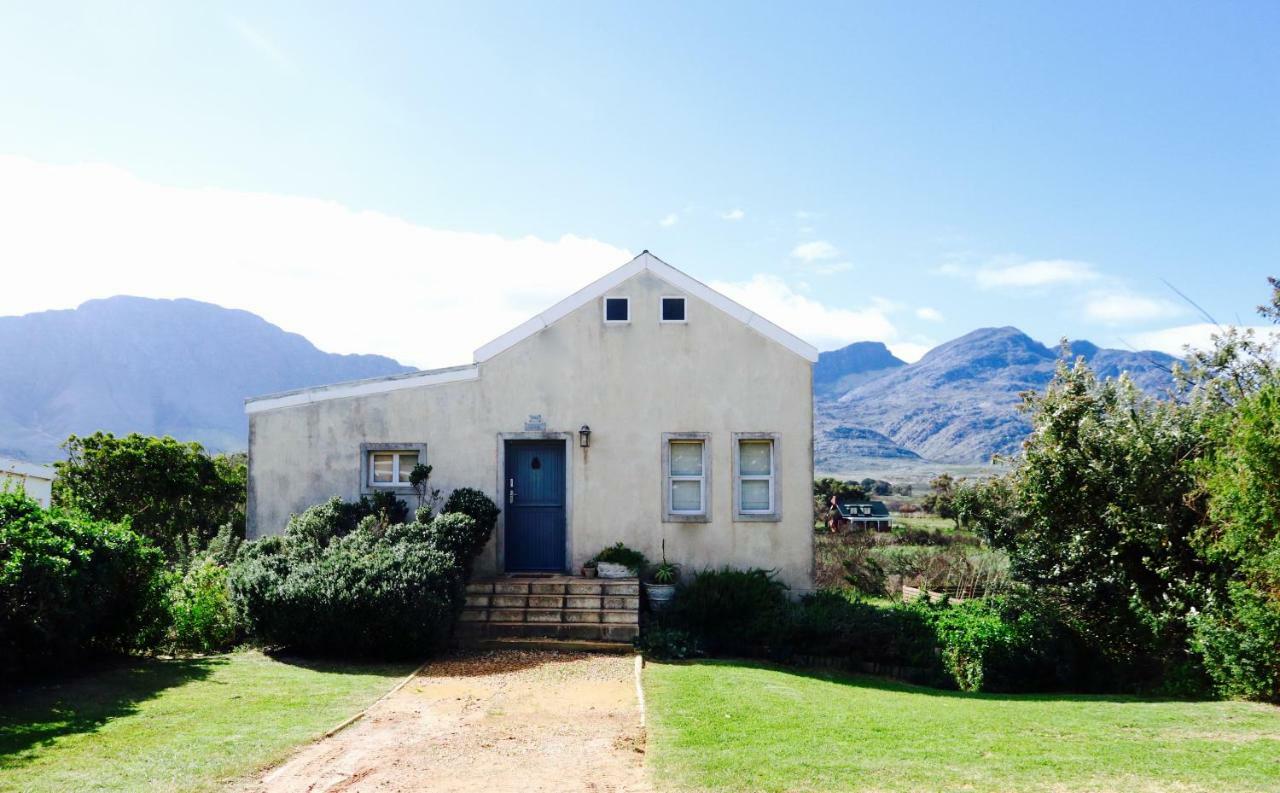 The Crowded House Vila Pringle Bay Exterior foto